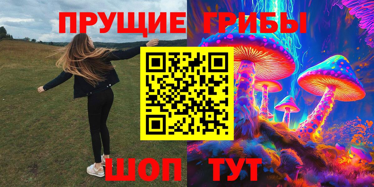 Орёл  Псилоцибиновые грибы Psilocybe  Вход с VPN 