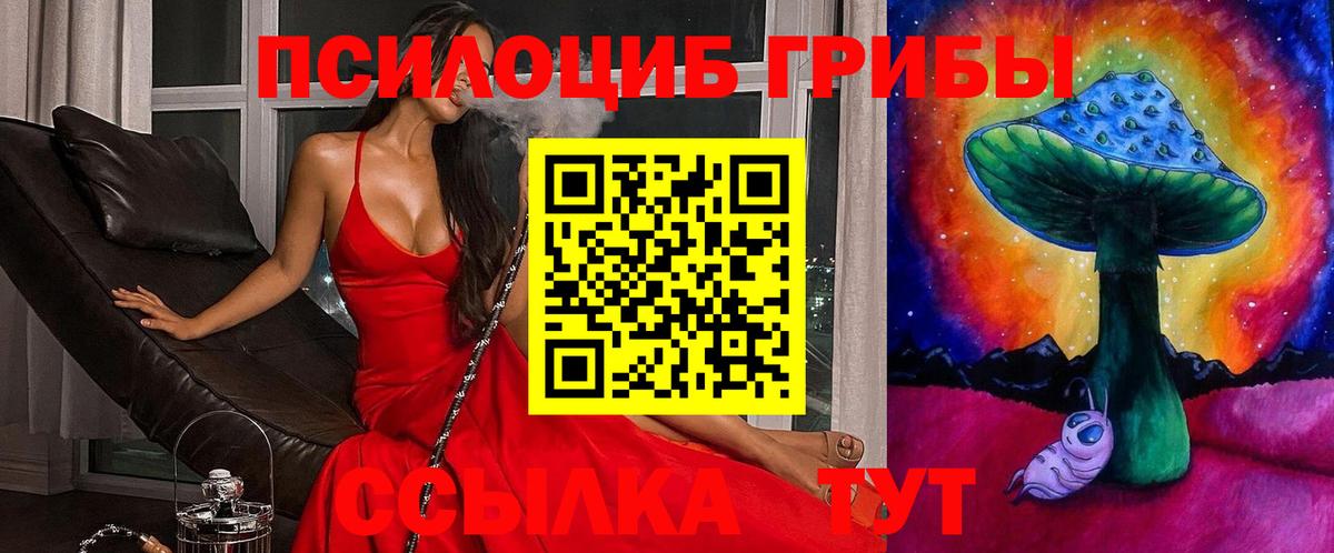 Галлюциногенные грибы ЛСД Орёл